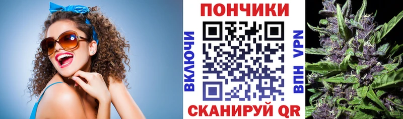 Бошки Шишки Amnesia  Купить закладки  Ульяновск 